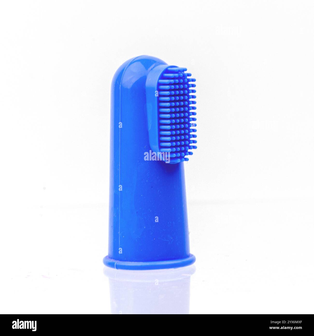 Une brosse à dents bleu vif est montrée en gros plan. La brosse à dents est dotée d'une tête de brosse souple en silicone et d'une base tubulaire qui s'adapte sur un doigt Banque D'Images