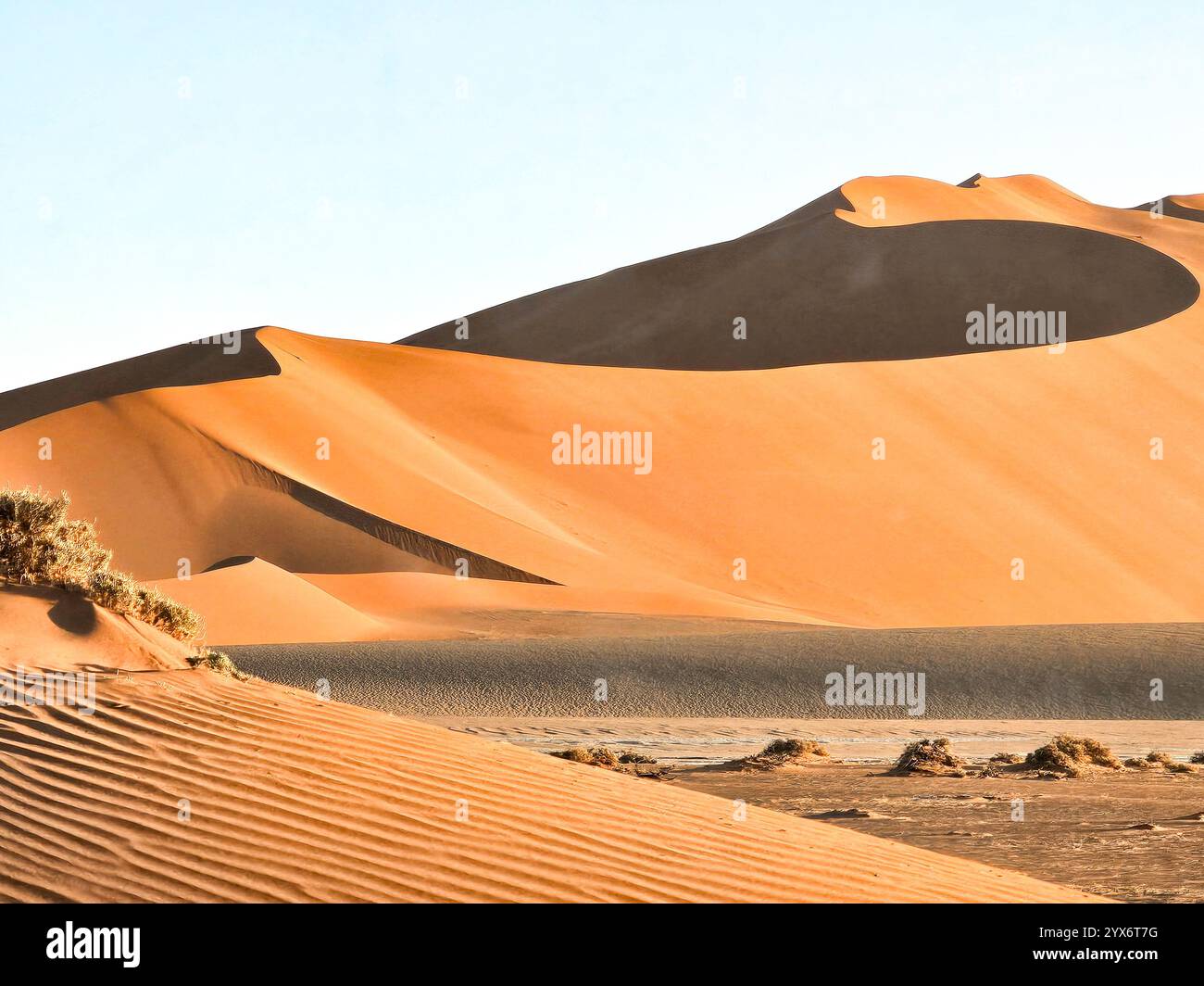 Deadvlei, arbres morts et dunes de sable à Sossusvlei, Namib Naukluft National Park, Namibie, Afrique Banque D'Images