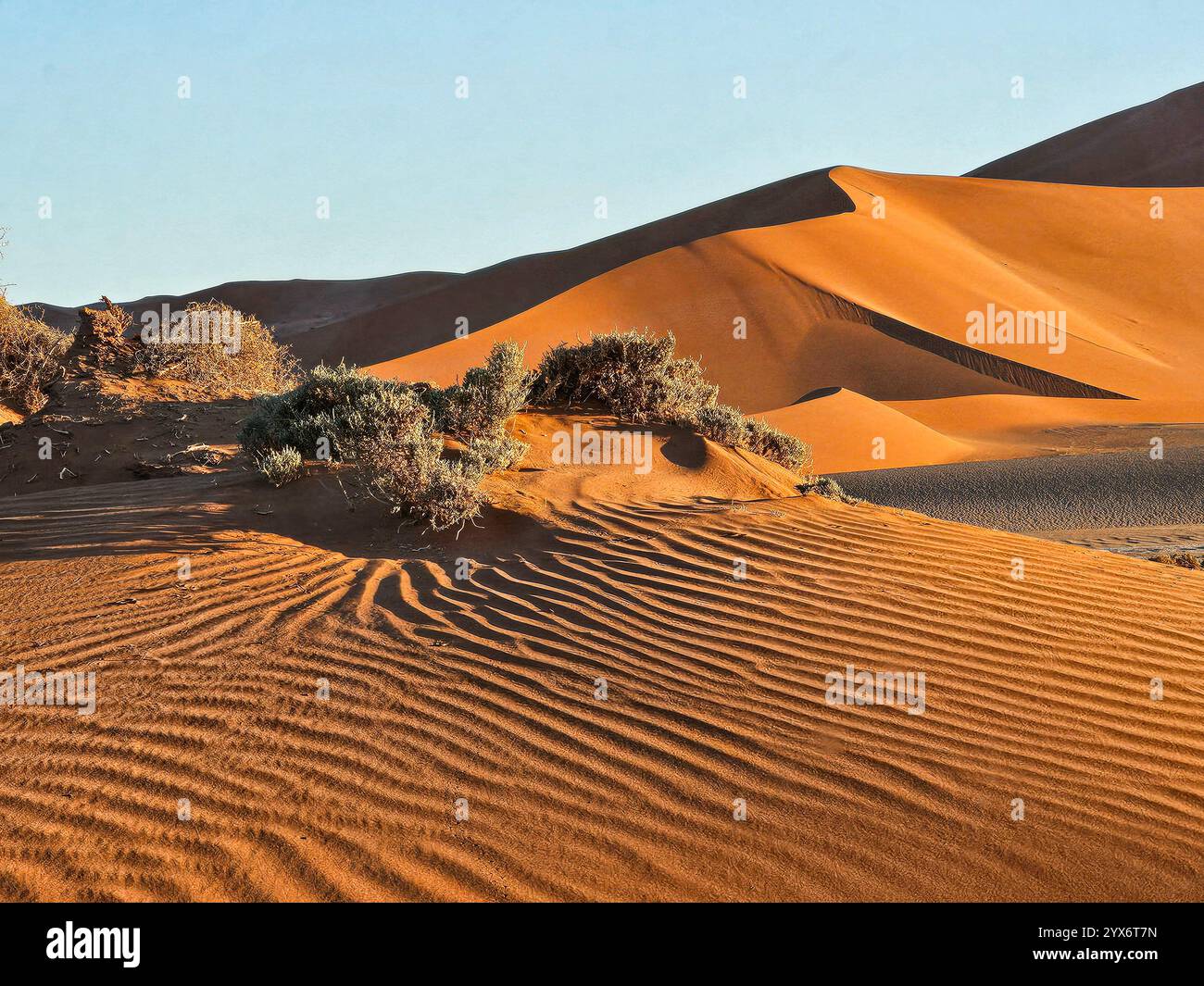 Deadvlei, arbres morts et dunes de sable à Sossusvlei, Namib Naukluft National Park, Namibie, Afrique Banque D'Images