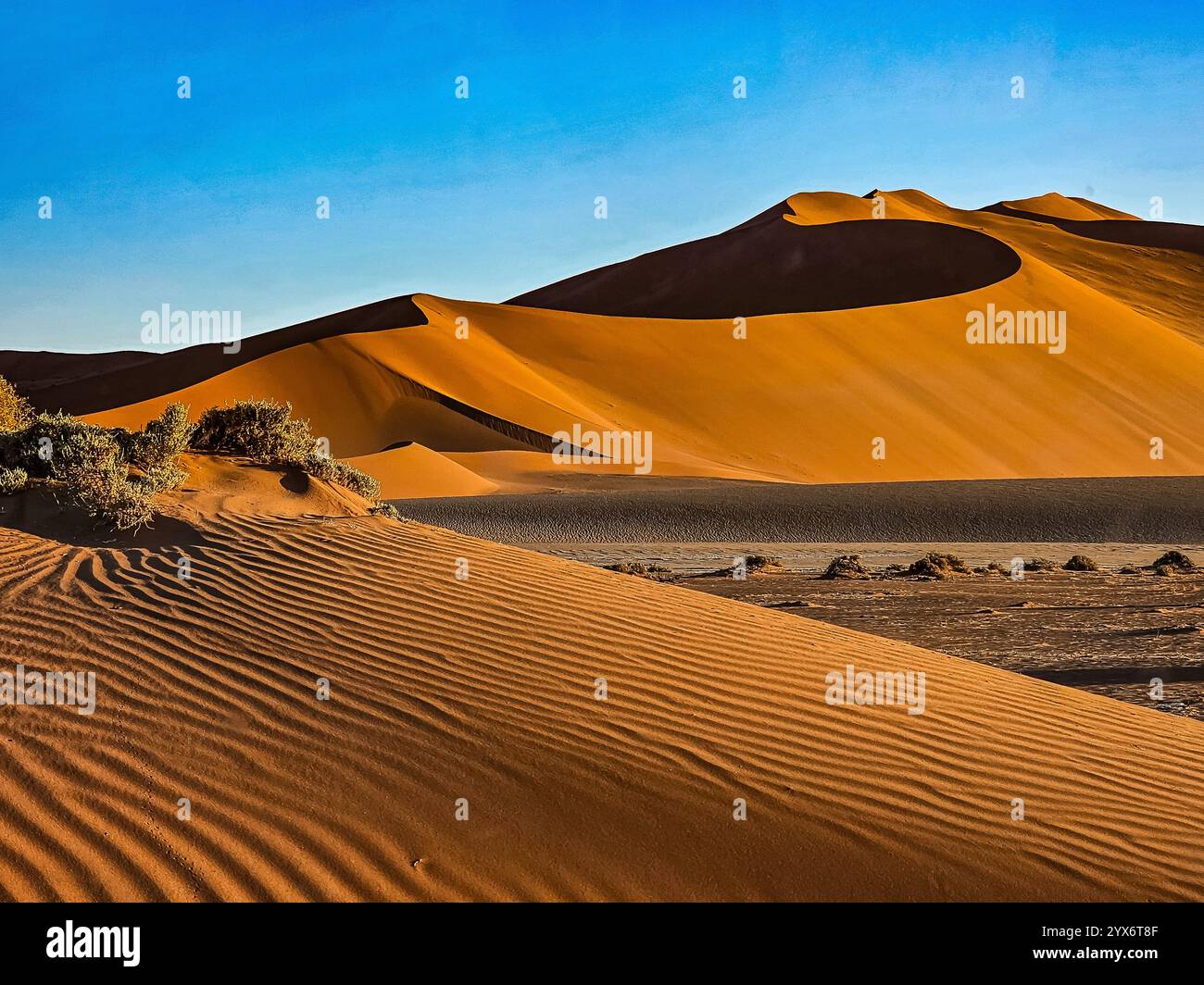Deadvlei, arbres morts et dunes de sable à Sossusvlei, Namib Naukluft National Park, Namibie, Afrique Banque D'Images