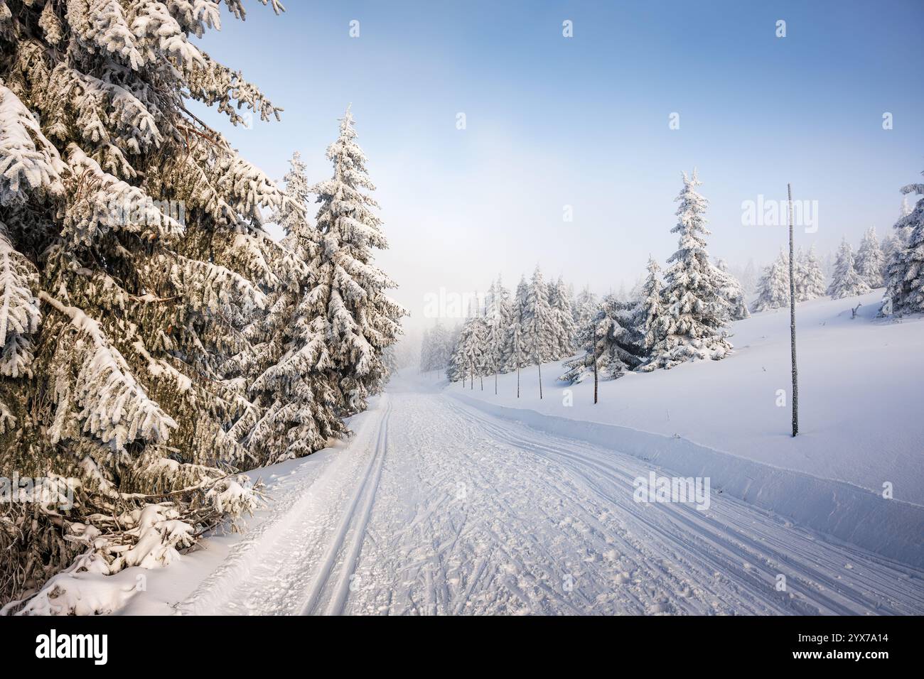Sentier forestier d'hiver avec piste de ski de fond en montagne. Paysage enneigé Banque D'Images