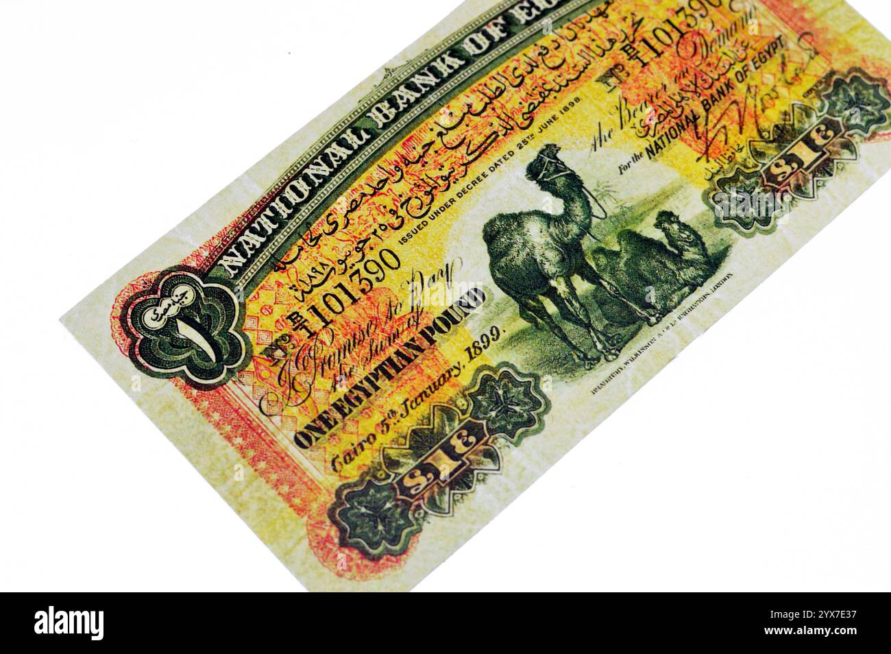 Le côté avers du premier billet de banque égyptien 1 LE EGP par la Banque nationale d'Égypte 1899, comporte deux chameaux au centre, vintage Re Banque D'Images