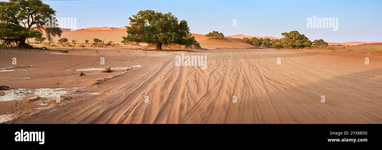Big Daddy Dune, Sossusvlei, Deadvlei, parc national de Sesriem, Namibie, Afrique. Banque D'Images