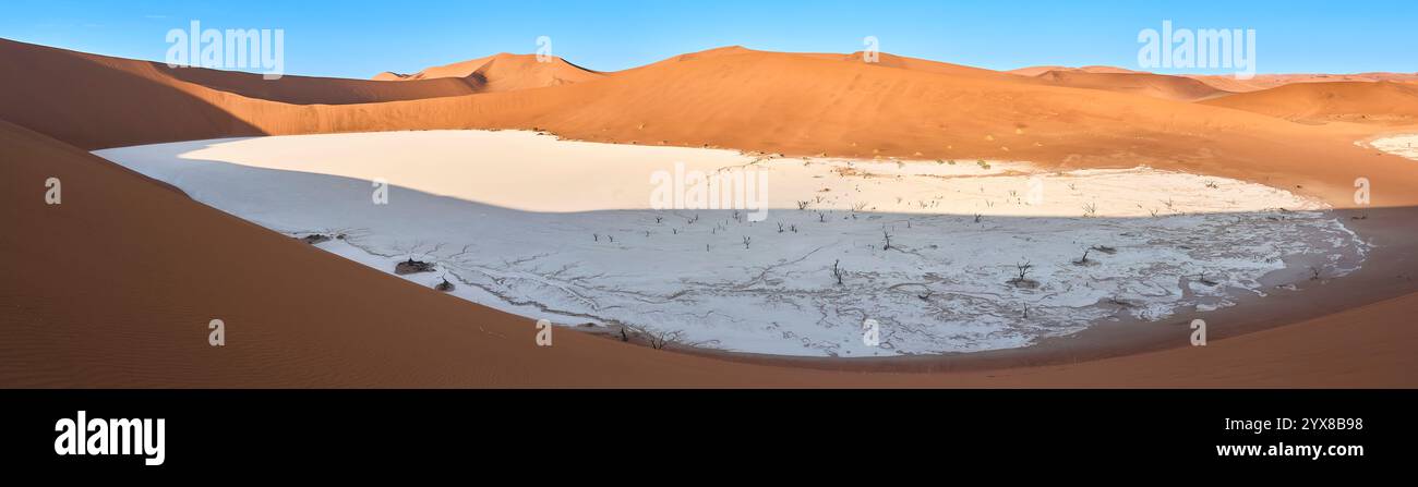 Image panoramique de Deadvlei avec ses arbres pétrifiés + vu de la dune, Deadvlei, Sossusvlei, Parc National de Sesriem, Namibie, Afrique. Banque D'Images