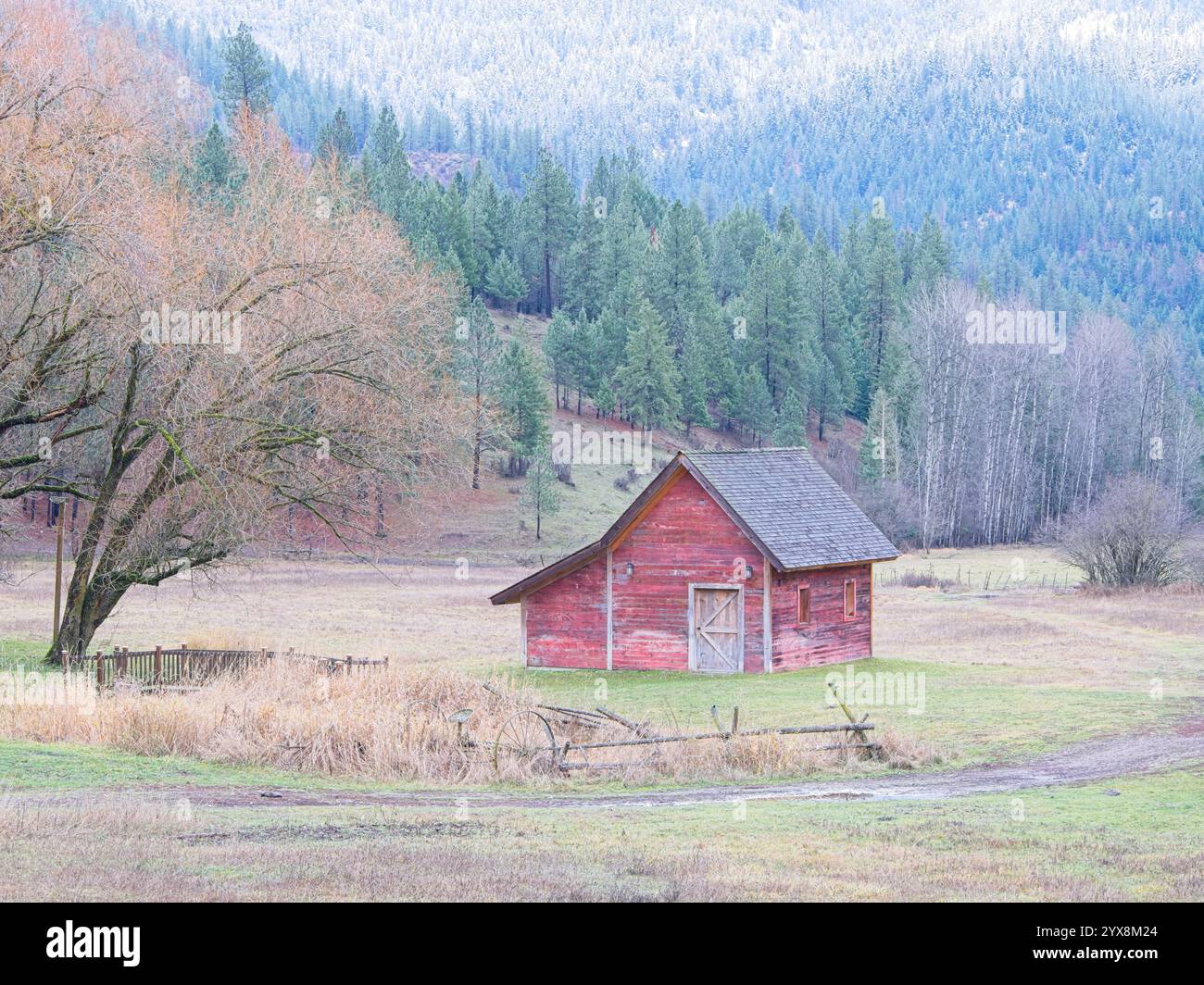 Une petite grange rouge se dresse dans un champ à la fin de l'année dans le nord de l'Idaho. Banque D'Images