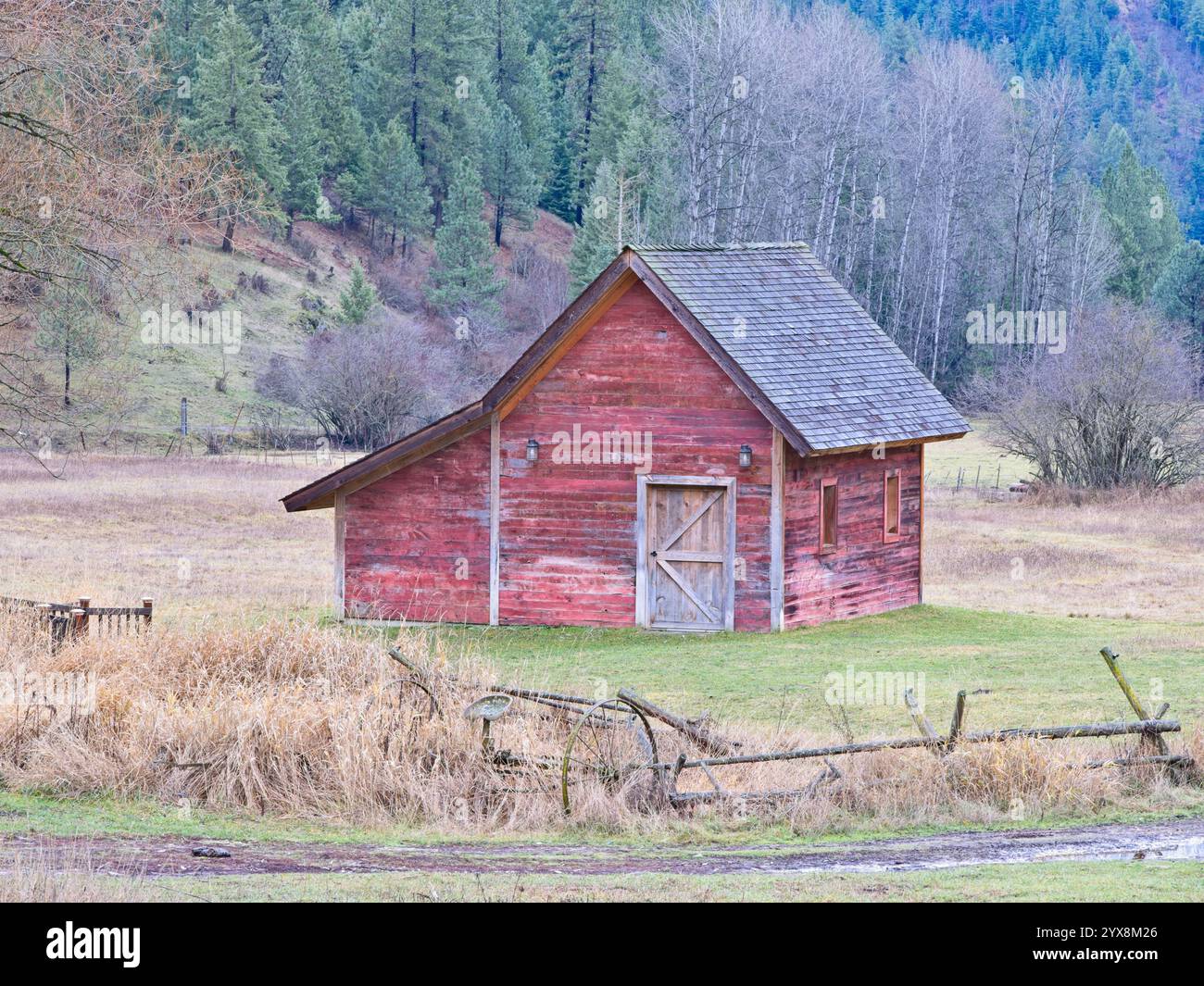 Une petite grange rouge se dresse dans un champ à la fin de l'année dans le nord de l'Idaho. Banque D'Images