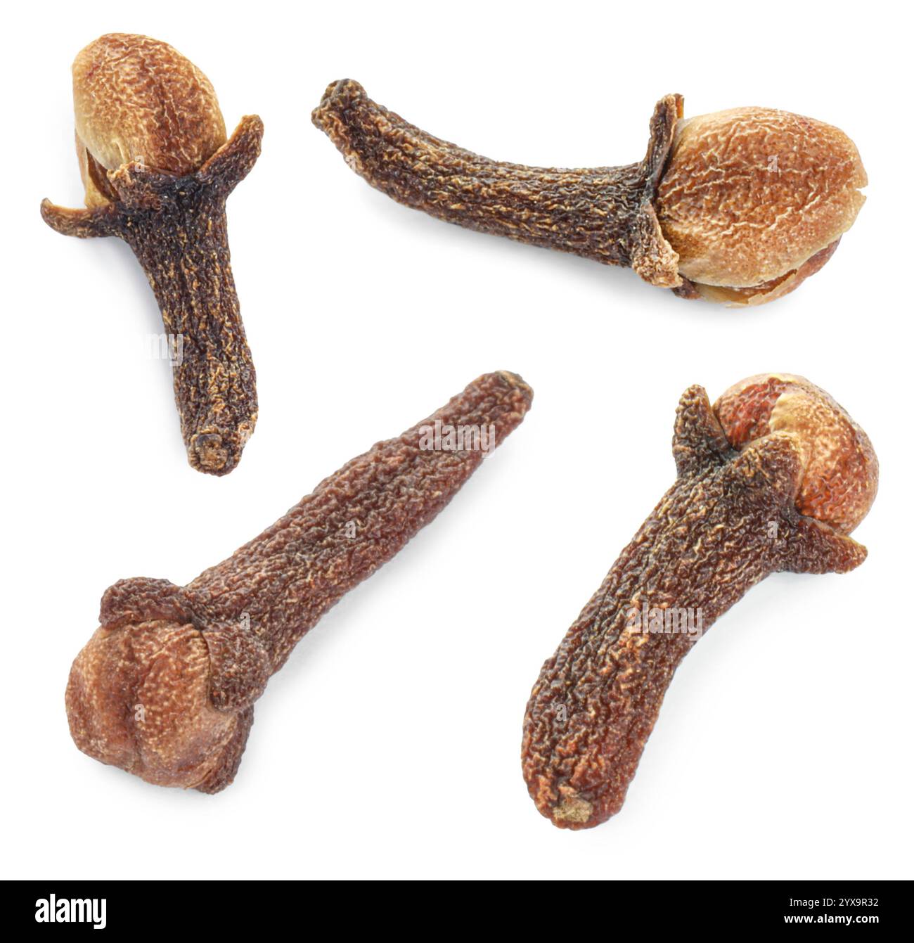 Bourgeons de clou de girofle parfumés isolés sur blanc, ensemble Banque D'Images