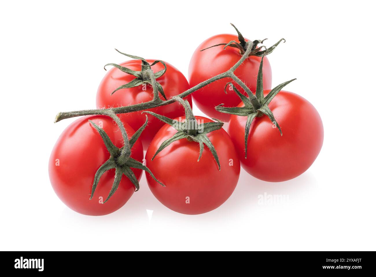 Branche de tomates cerises mûres isolées sur fond blanc Banque D'Images