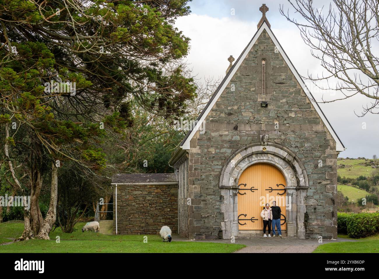 Moutons à l'Oratoire de Finbarr (Aireagal Naomh Fionnbarra), Gougane Barra, West Cork, Irlande. Banque D'Images