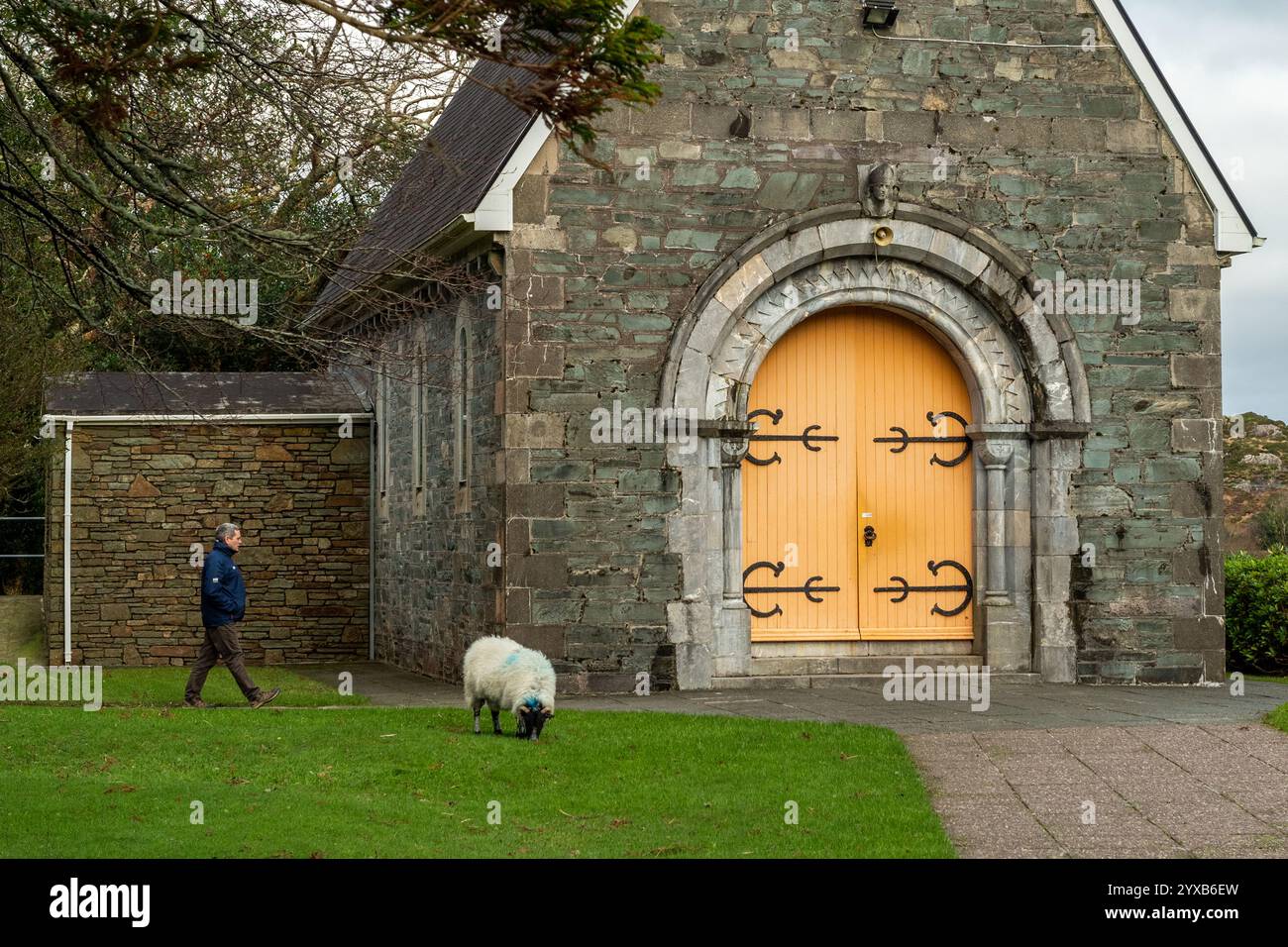 Moutons à l'Oratoire de Finbarr (Aireagal Naomh Fionnbarra), Gougane Barra, West Cork, Irlande. Banque D'Images