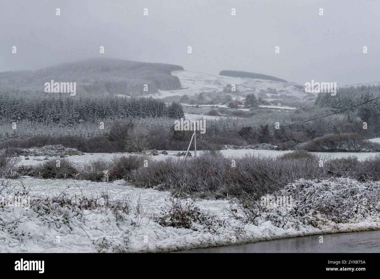 Fortes chutes de neige près de Dunmanway, West Cork, Irlande. Banque D'Images