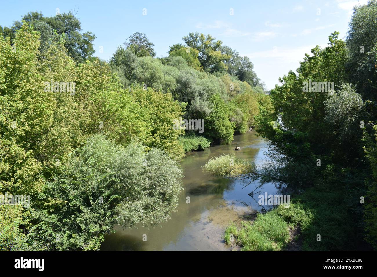 La rivière Fischa à Fischamend, basse-Autriche, par une journée d'été ensoleillée. C'est un affluent droit du Danube. Banque D'Images