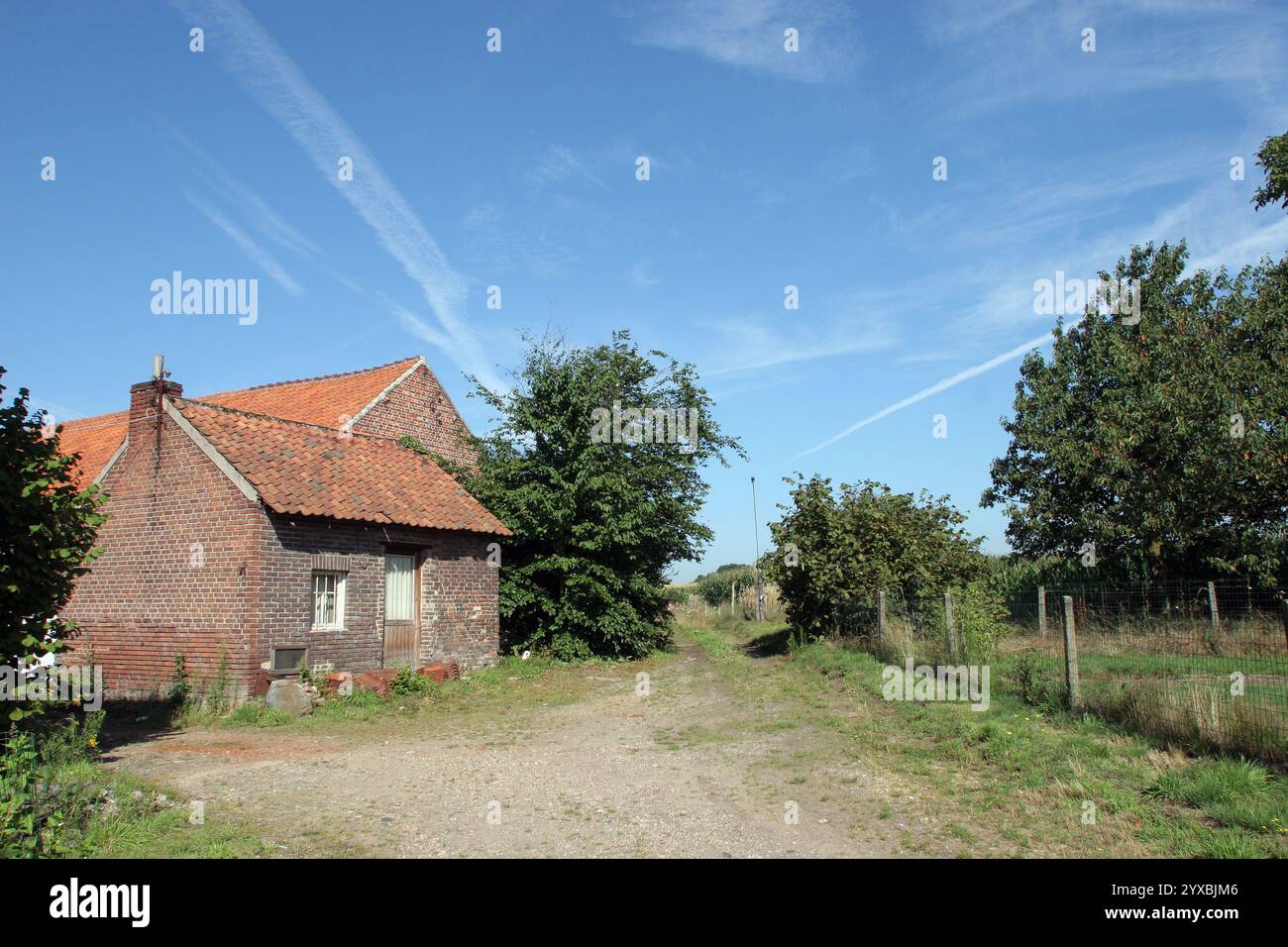 Belle petite maison en brique dans le village de Gruitrode, Meeuwen-Gruitrode, Limbourg, Belgique Banque D'Images