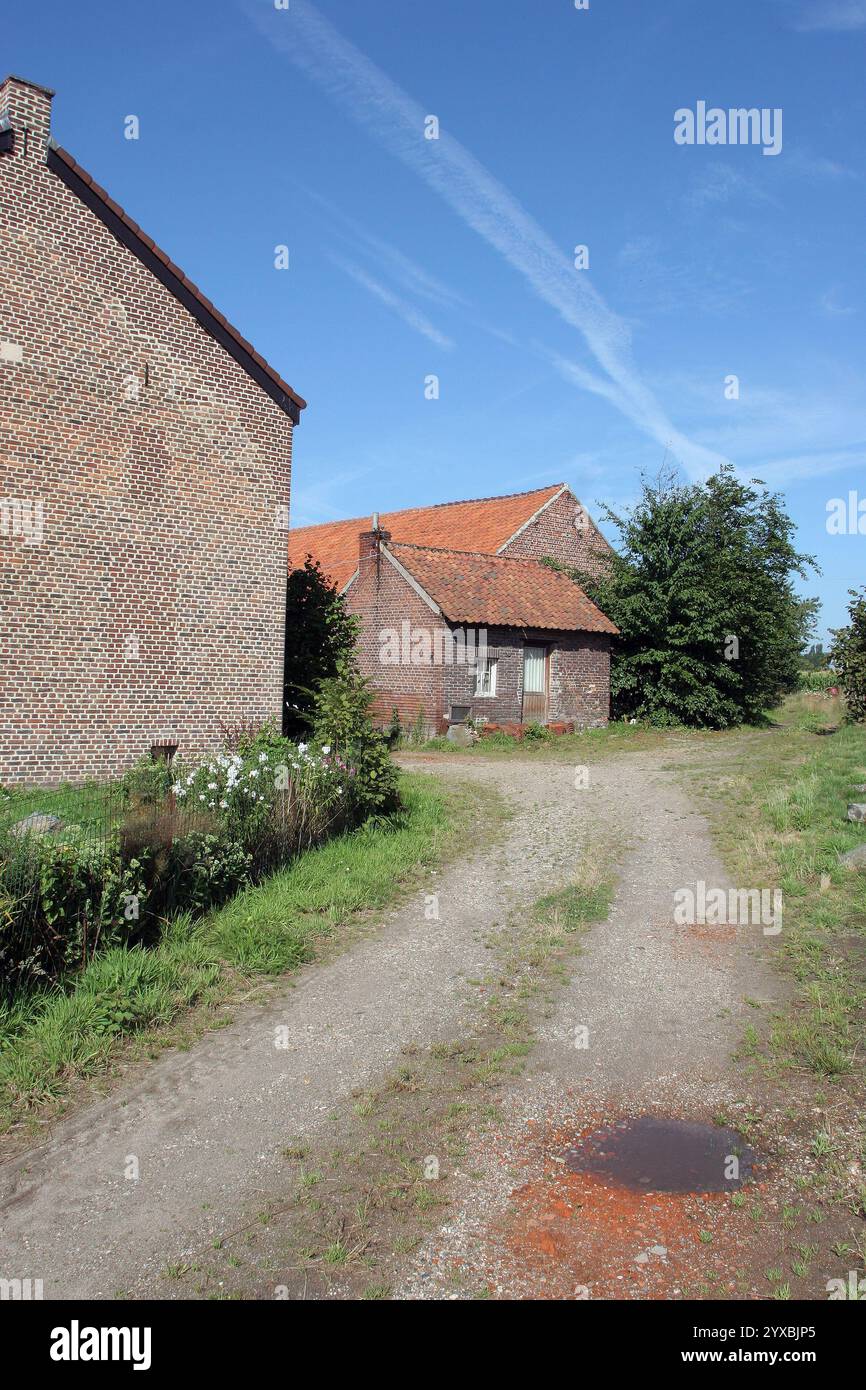 Belle petite maison en brique dans le village de Gruitrode, Meeuwen-Gruitrode, Limbourg, Belgique Banque D'Images