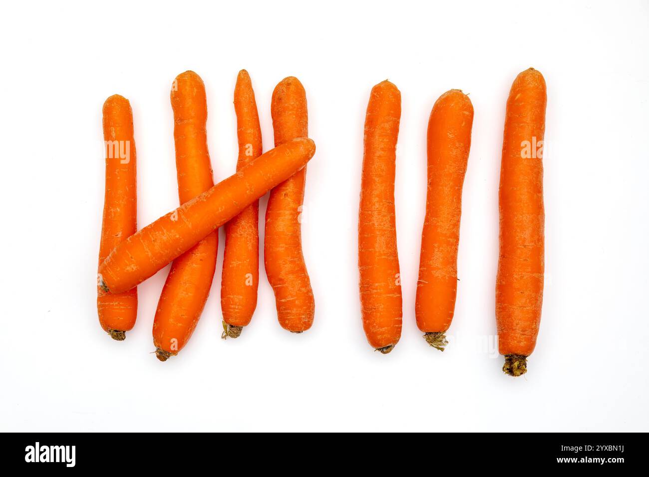 Exercice de comptage avec huit carottes sur fond blanc – photo de stock éducative Banque D'Images