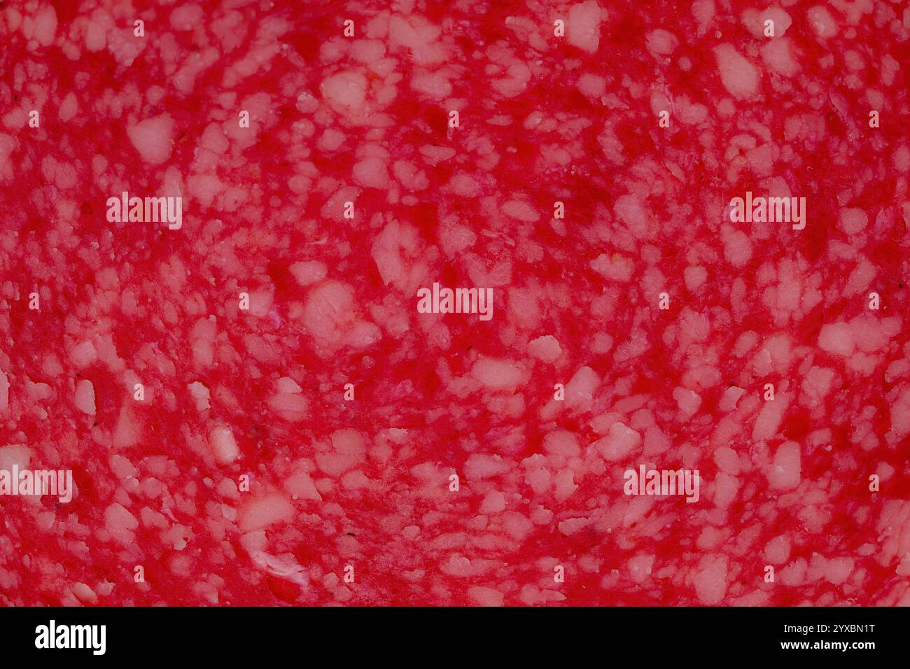 Texture de fond de salami - photographie de viande tranchée et charcuterie Banque D'Images