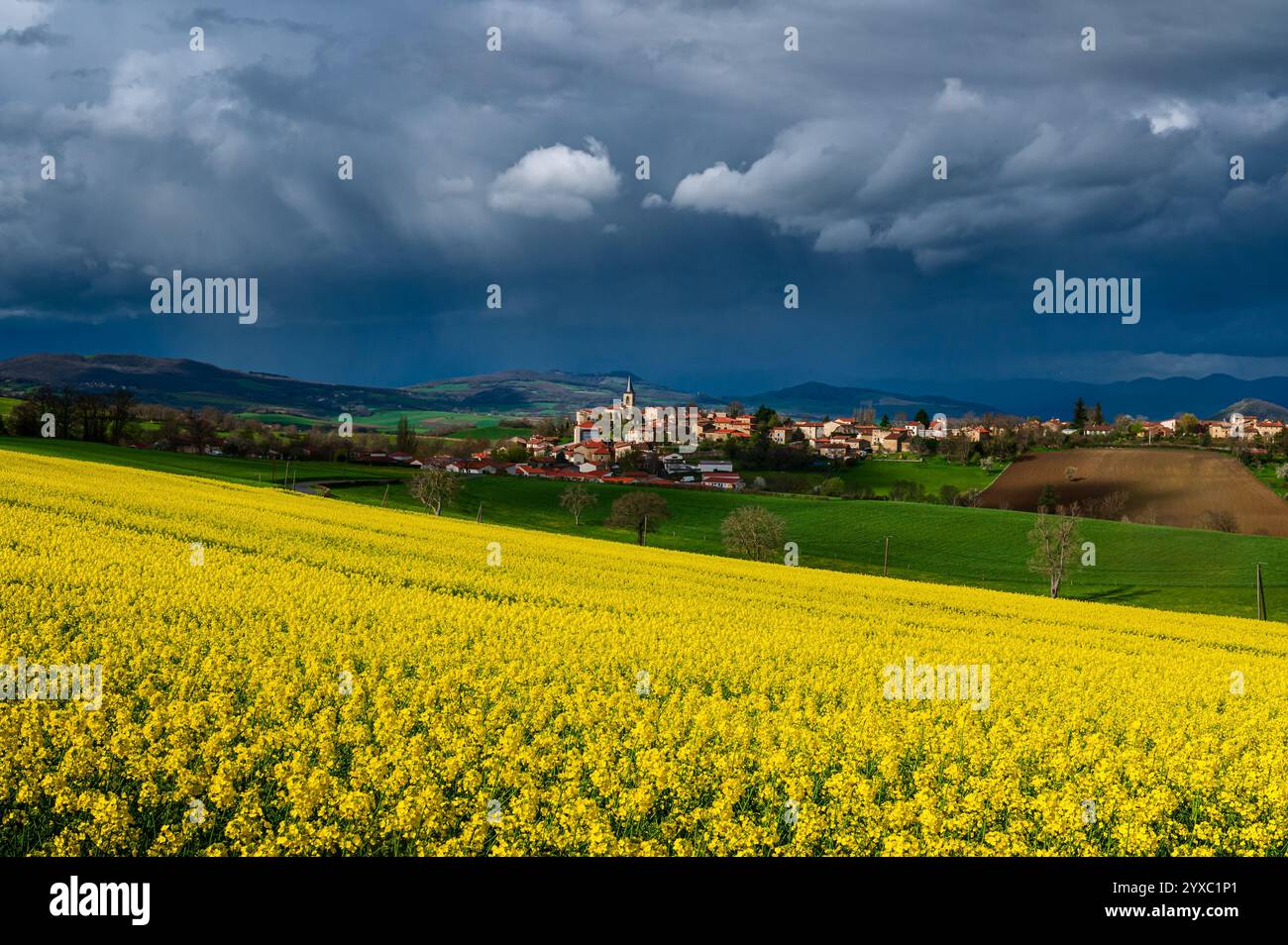 Village médiéval français éclairé par le soleil, ciel d'orage dramatique entrant, colza jaune vif au premier plan Banque D'Images