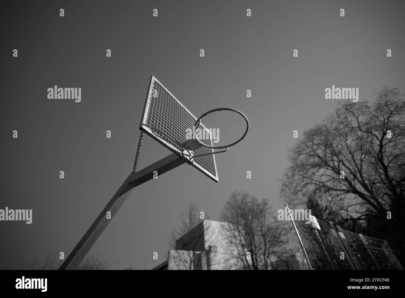 Un grand cerceau de basket-ball avec un panneau en treillis métallique se dresse dans un parc extérieur, encadré par des arbres et des bâtiments en arrière-plan. Banque D'Images