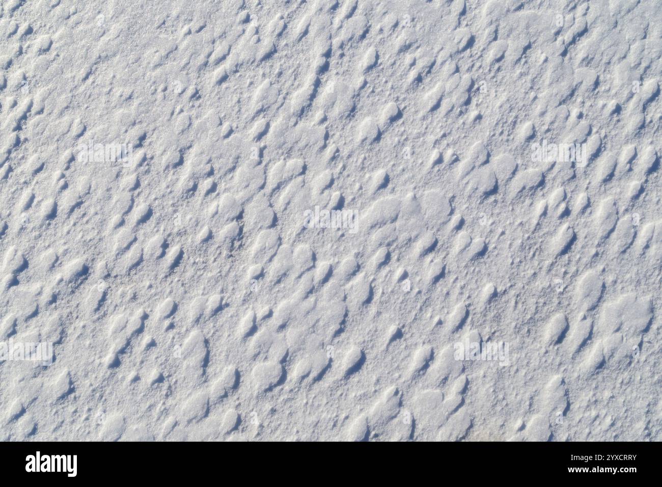 Gros plan de terres enneigées fraîches et lumineuses en hiver par une journée ensoleillée, vue d'en haut. Fond texturé plein cadre abstrait, espace de copie. Vue de dessus Banque D'Images