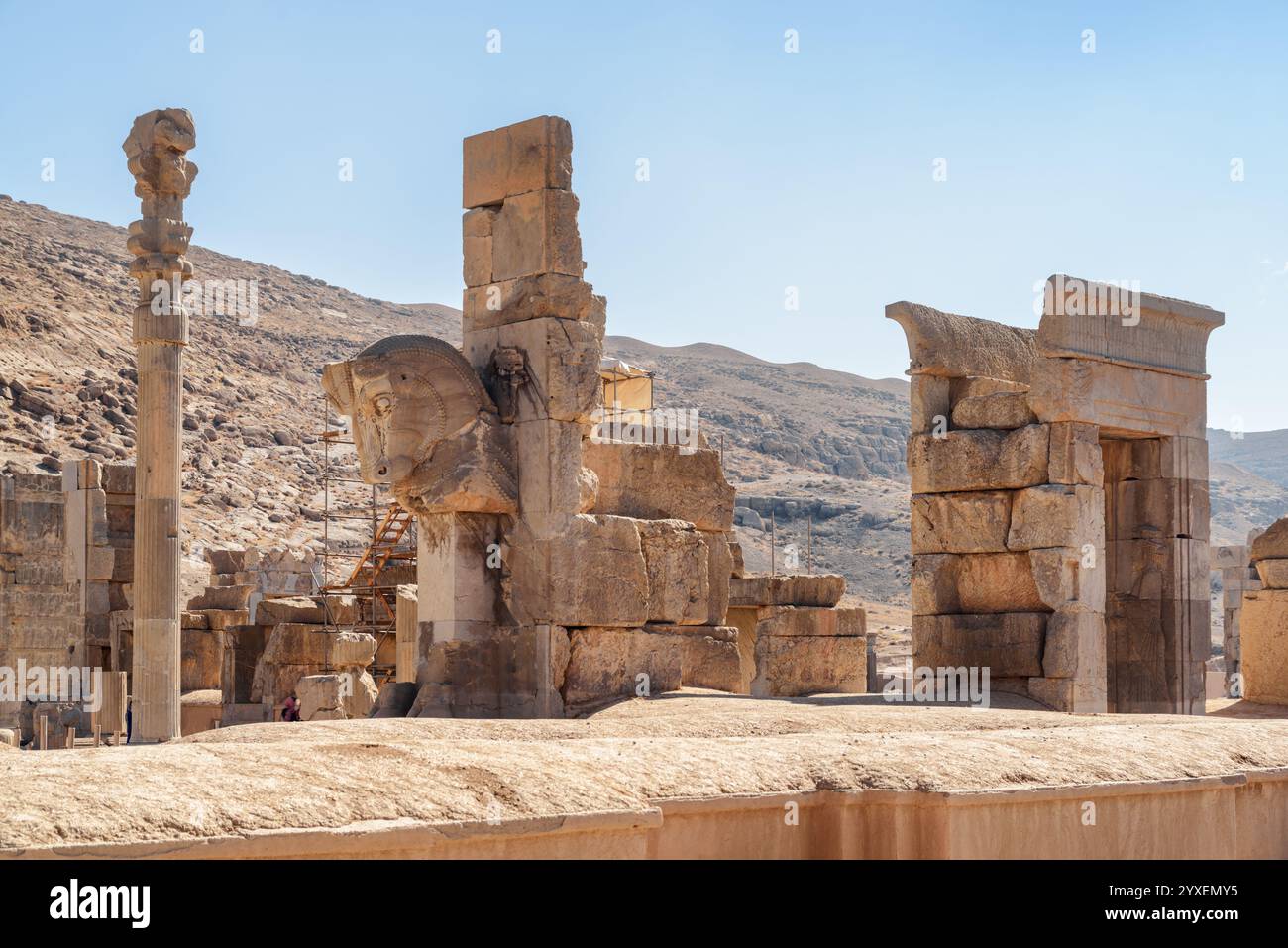 Vue imprenable d'une sculpture de taureau à Persépolis, Iran Banque D'Images