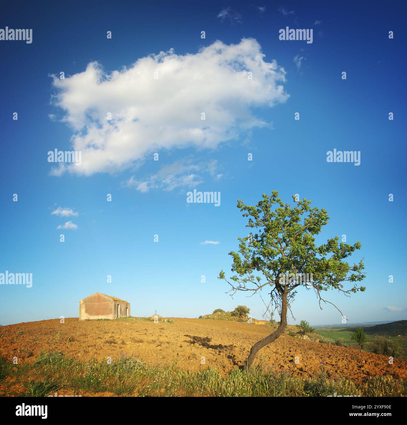 Nuage au-dessus de la maison rurale avec un arbre solitaire en Sicile, Italie Banque D'Images