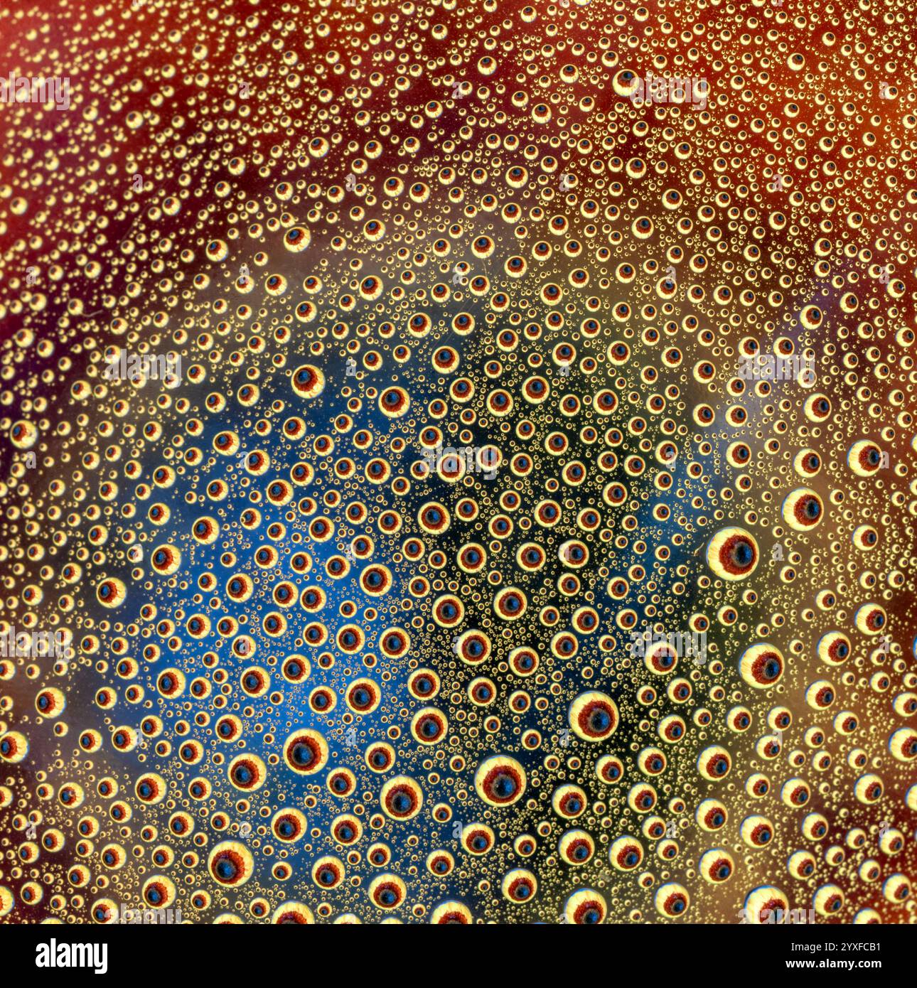 Gouttelettes d'eau sur un fond floral coloré Banque D'Images