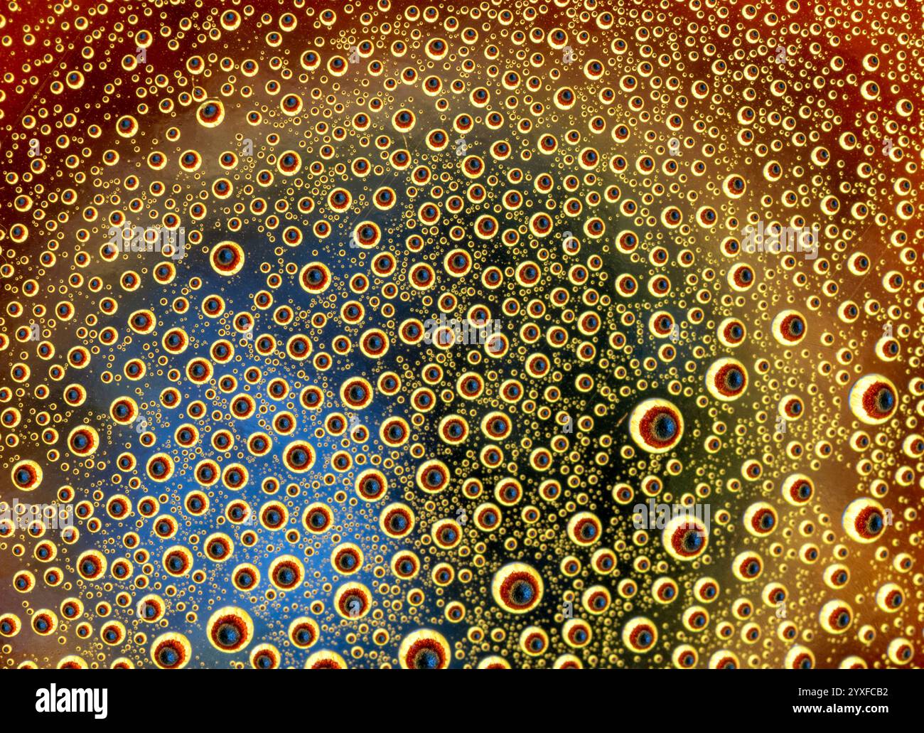 Gouttelettes d'eau sur un fond floral coloré Banque D'Images