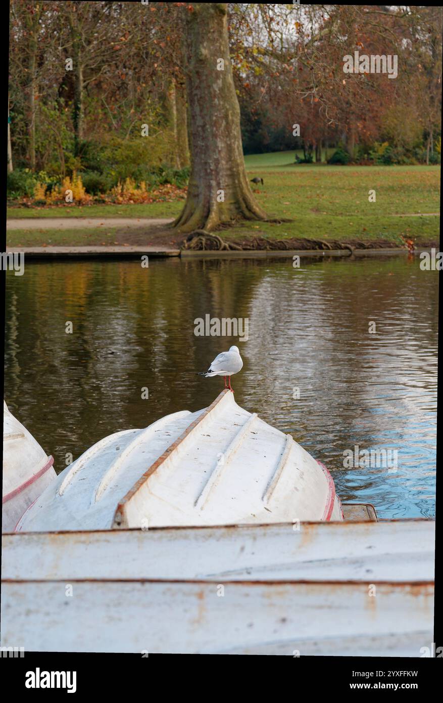 Navigation de plaisance et plaisir de la nature au parc bois de Vincennes à Paris lors d'un après-midi serein avec un oiseau perché sur un bateau Banque D'Images
