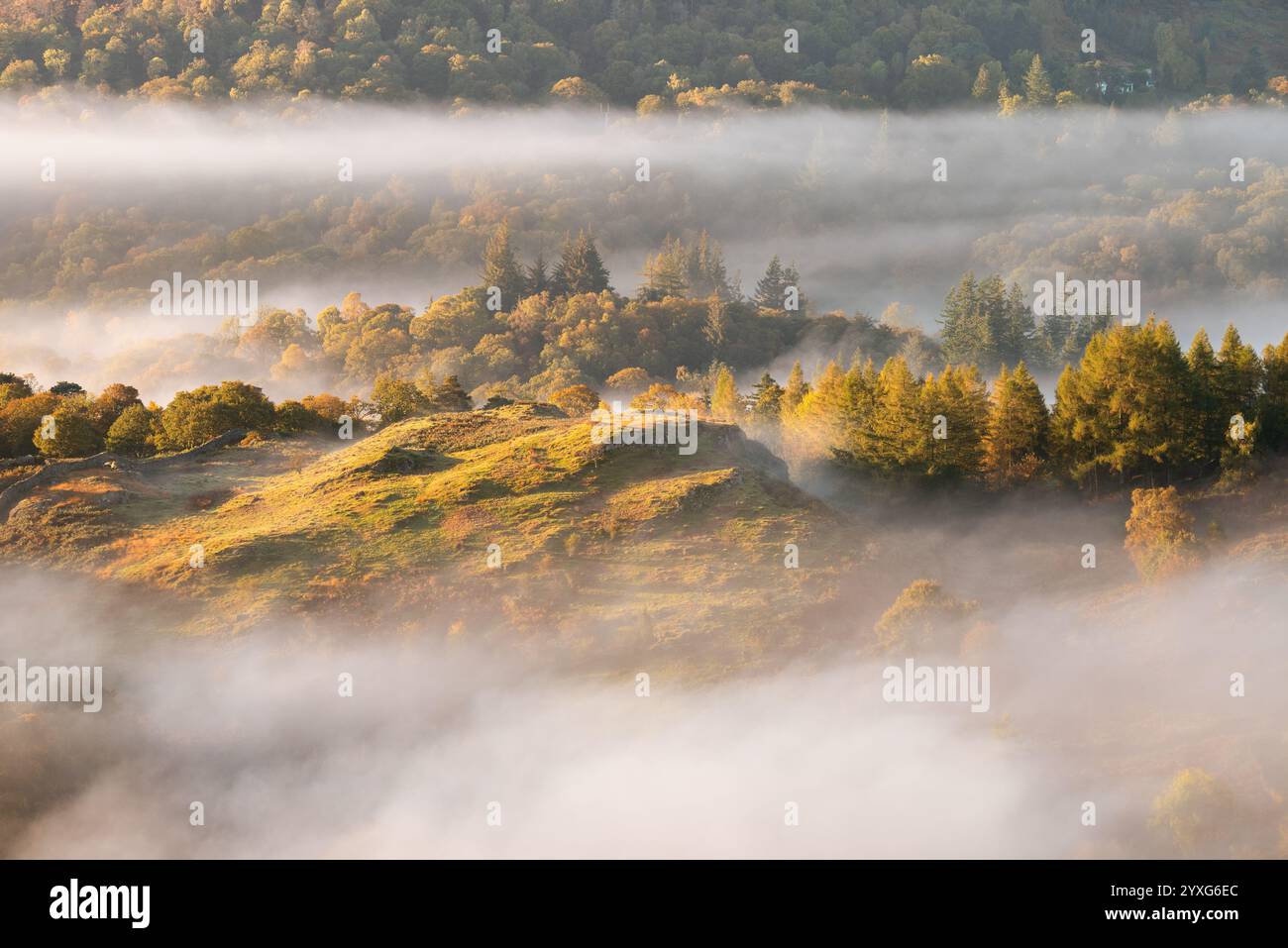 La brume matinale d'automne dans la vallée avec la lumière dorée du soleil vue de Loughrigg est tombée dans le Lake District, Royaume-Uni. Banque D'Images