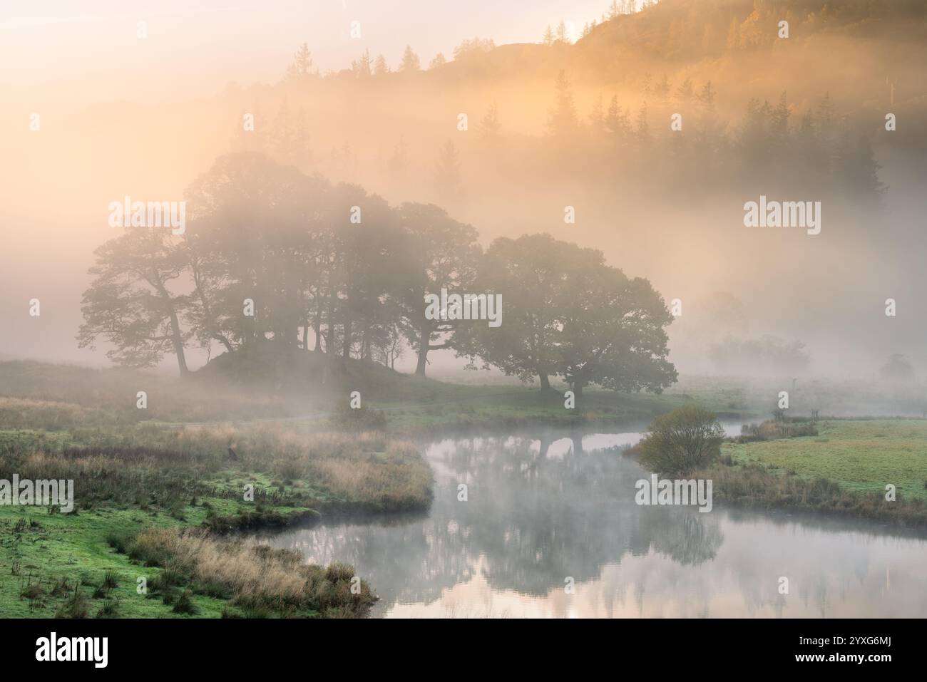 Belle matinée brumeuse à la rivière Brathay près d'Elterwater dans le parc national de Lake District, Royaume-Uni. Banque D'Images