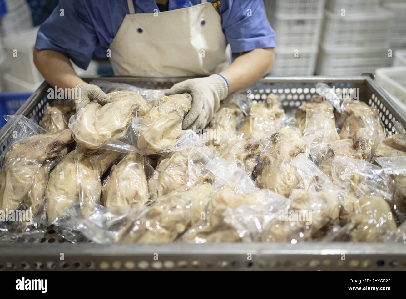 Production de canards salés dans l'usine de Nan Jing Ying Tao Yo Co. Ltd., pour la consommation dans les restaurants mais aussi pour la vente comme produits durables et comme s. Banque D'Images