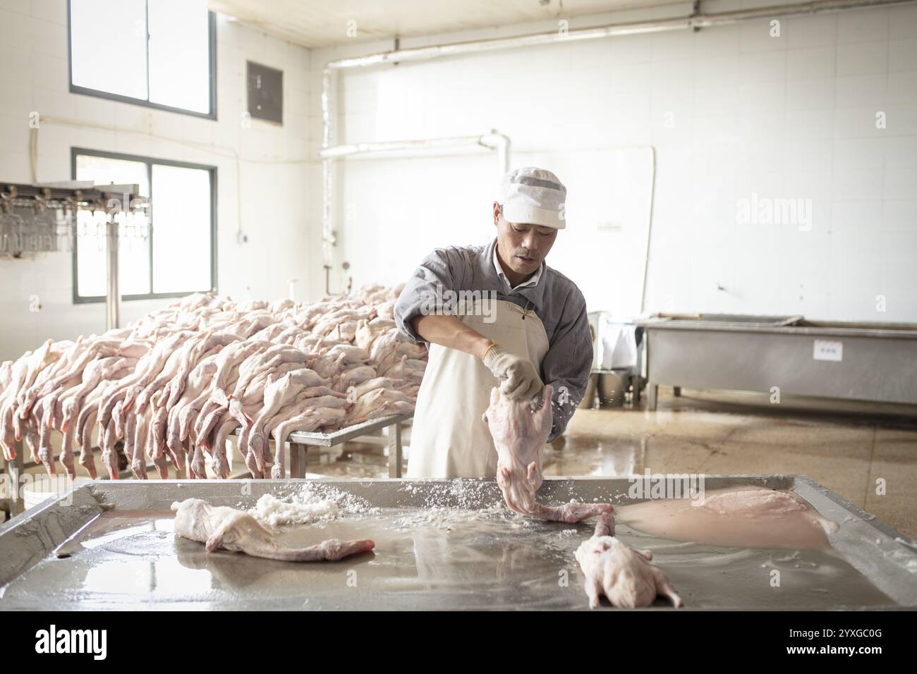 Production de canards salés dans l'usine de Nan Jing Ying Tao Yo Co. Ltd., pour la consommation dans les restaurants mais aussi pour la vente comme produits durables et comme s. Banque D'Images