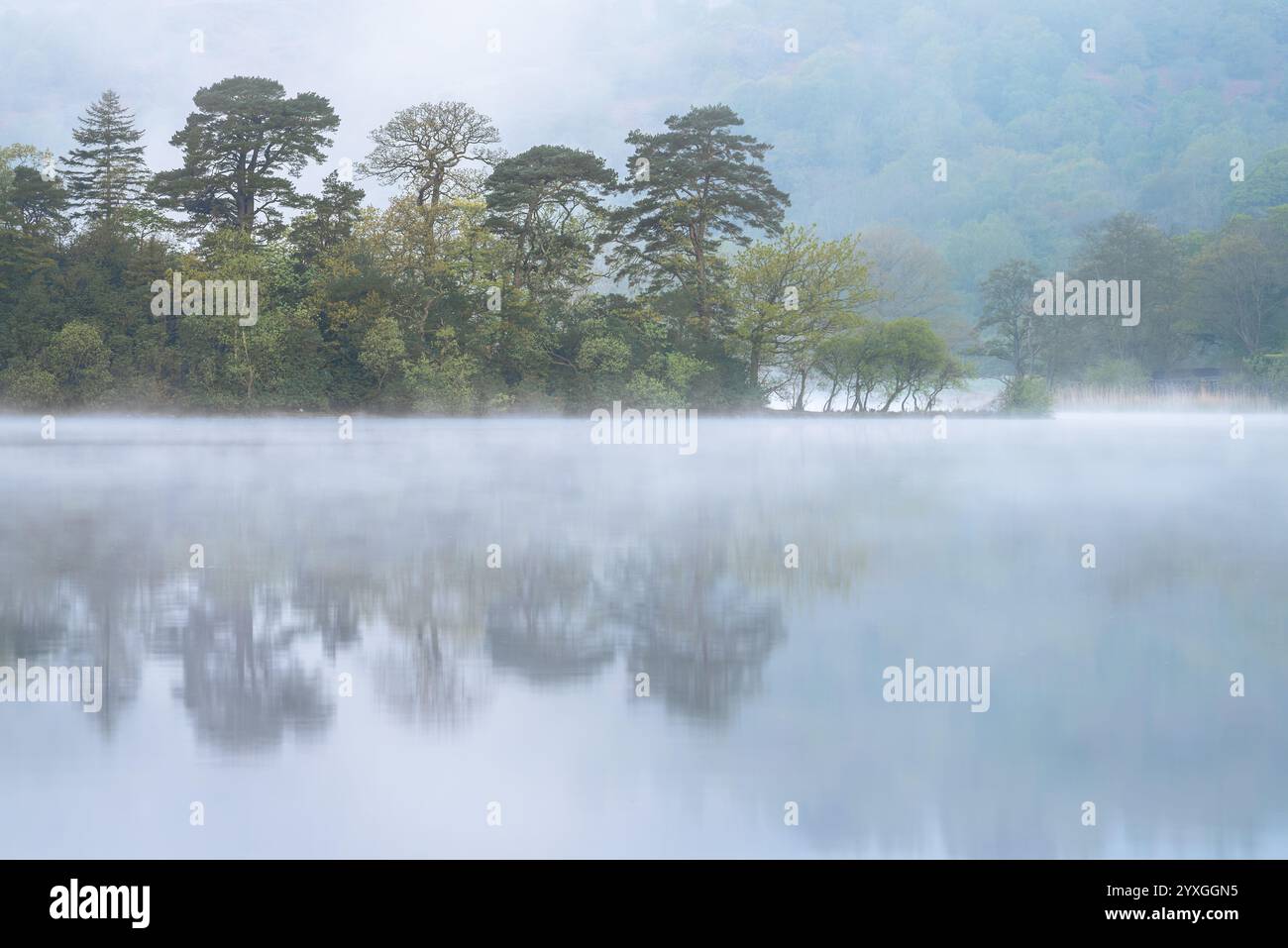 Matinée paisible au lac avec la brume qui monte de l'eau et les reflets calmes des arbres. Rydal Water, Lake District, Royaume-Uni. Banque D'Images