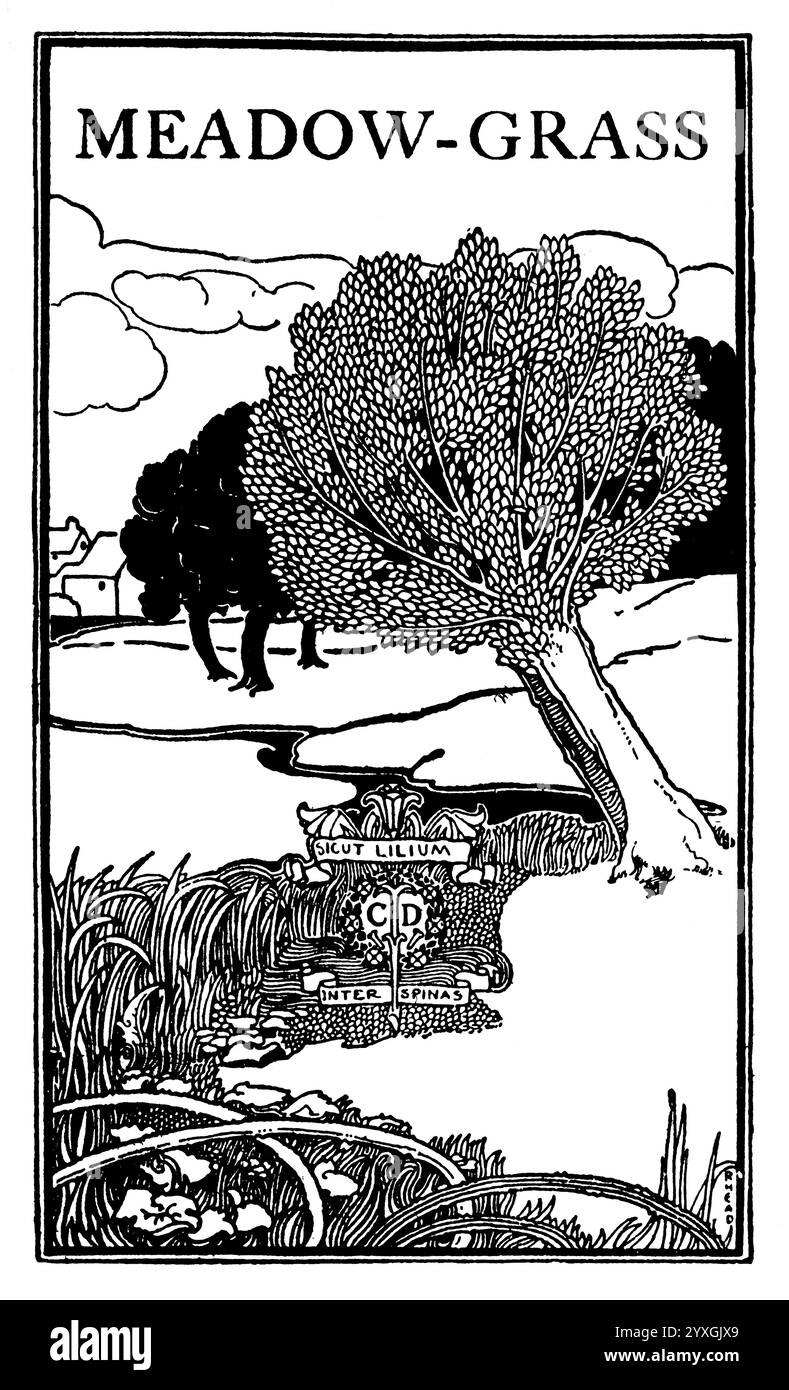 1898 couverture de livre, Meadow Grass, par Alice Brown, conçu par Louis J Rhead Banque D'Images