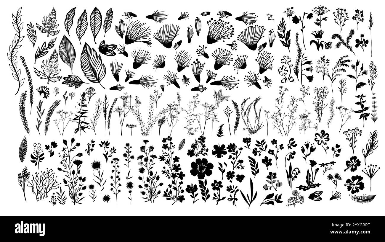 Ensemble d'herbe et de fleurs. dessin à la main. Pas IA. Illustration vectorielle Illustration de Vecteur