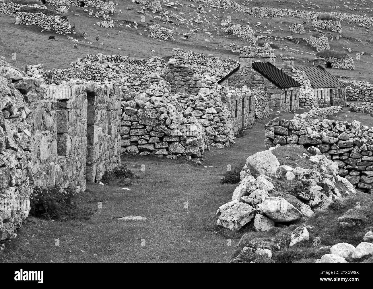 Maisons abandonnées sur St Kilda #3 Banque D'Images