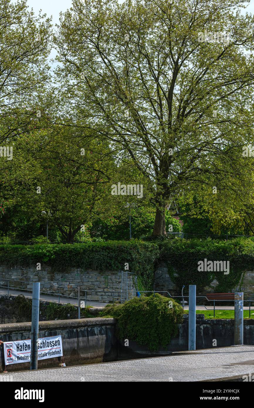 Hafen Überlingen, Baden-Württemberg, Deutschland Der Hafen ist geschlossen und Anlegen sowie Betreten der Baustelle sind verboten, Überlingen, Baden-Württemberg, Deutschland, nur zur redaktionellen Verwendung. Banque D'Images