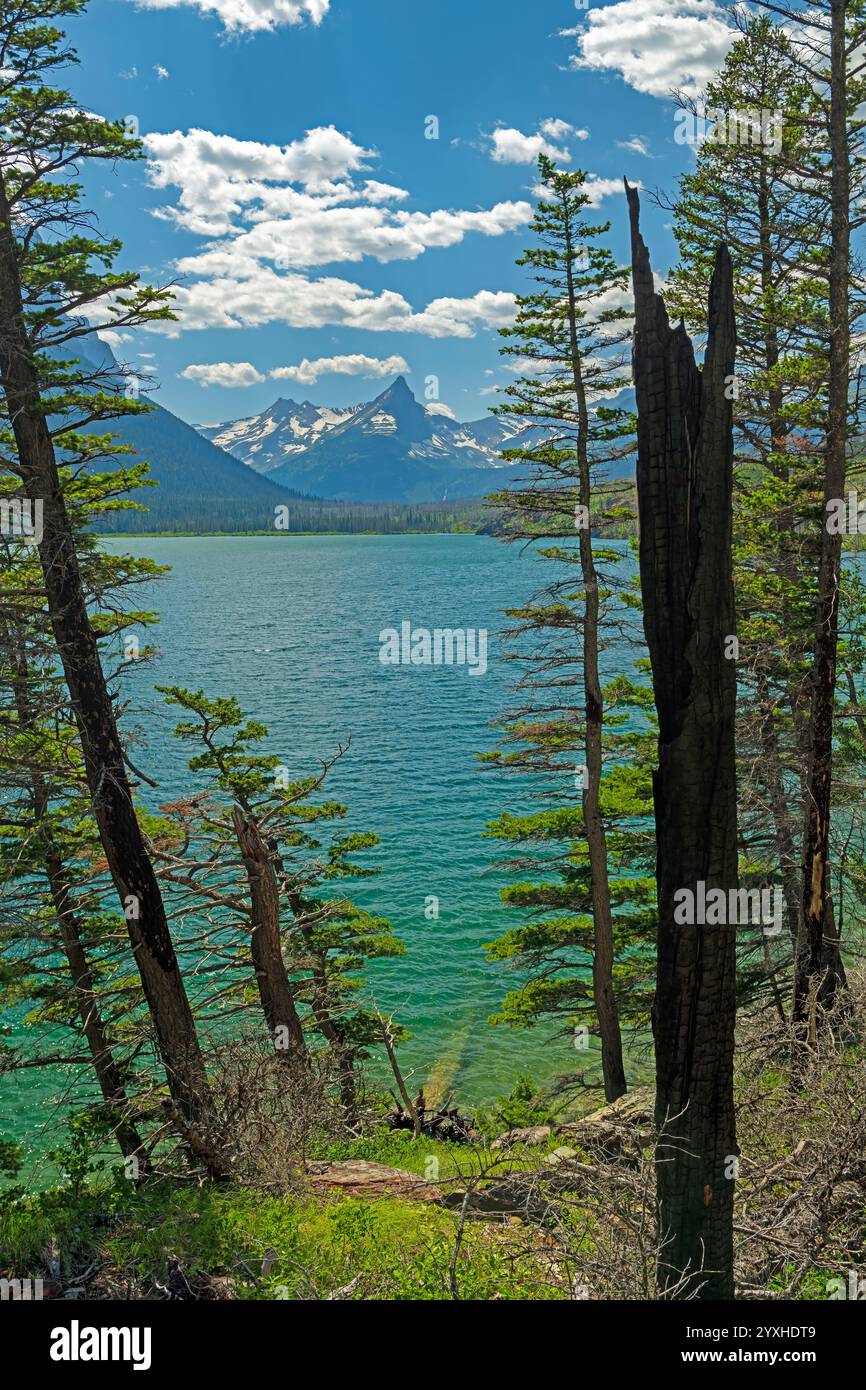Montagnes alpines et lac encadrés par les arbres dans le parc national de Glacier dans le Montana Banque D'Images