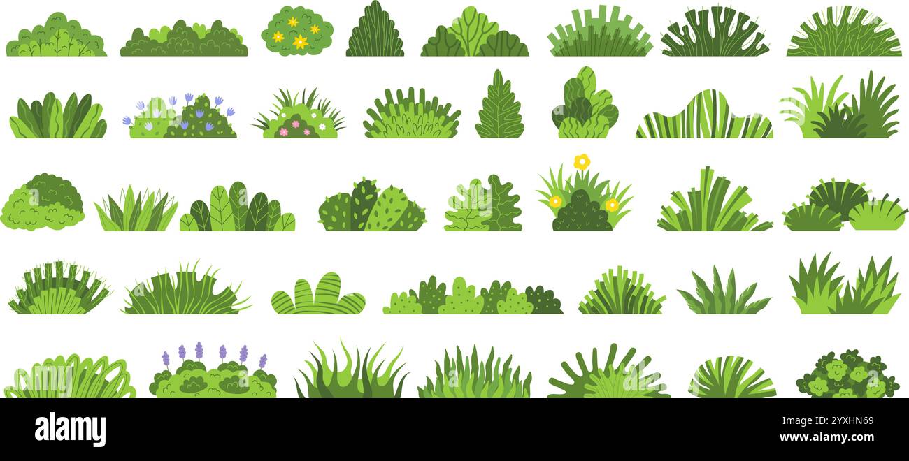 Bagues. Illustrations botaniques de buissons décoratifs ensemble floral vectoriel récent dans un style plat Illustration de Vecteur