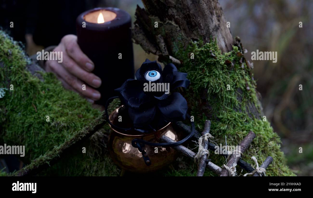 Une rose noire sur une branche moussue. Gothique, Halloween. Banque D'Images