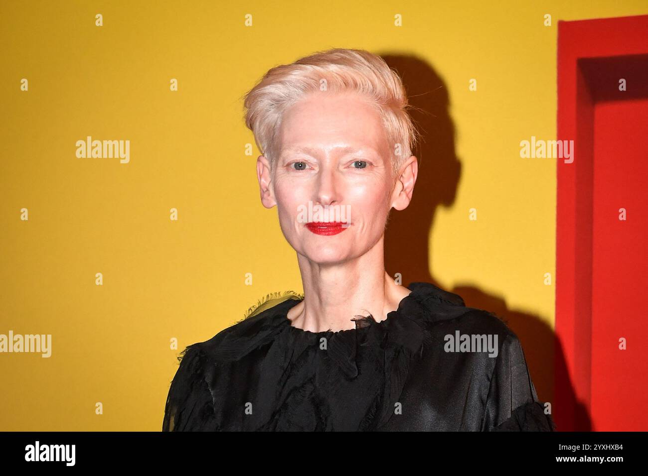 Paris, France. 16 décembre 2024. L'actrice britannique Tilda Swinton pose pour un appel photo pour le film la Chambre d'a côte au cinéma Pathe à Paris, le 16 décembre 2024. Photo de Firas Abdullah/ABACAPRESS. COM Credit : Abaca Press/Alamy Live News Banque D'Images