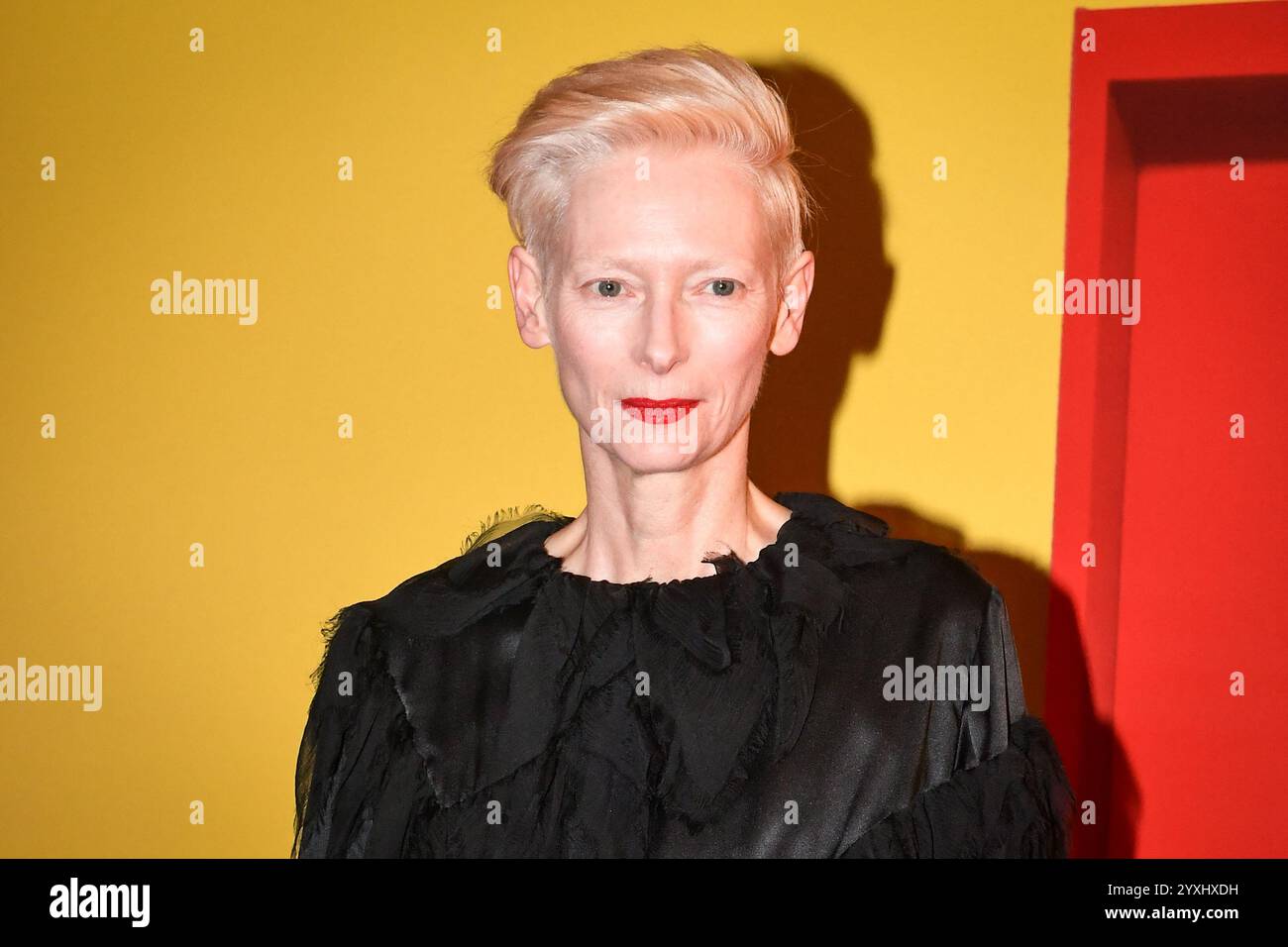 Paris, France. 16 décembre 2024. L'actrice britannique Tilda Swinton pose pour un appel photo pour le film la Chambre d'a côte au cinéma Pathe à Paris, le 16 décembre 2024. Photo de Firas Abdullah/ABACAPRESS. COM Credit : Abaca Press/Alamy Live News Banque D'Images