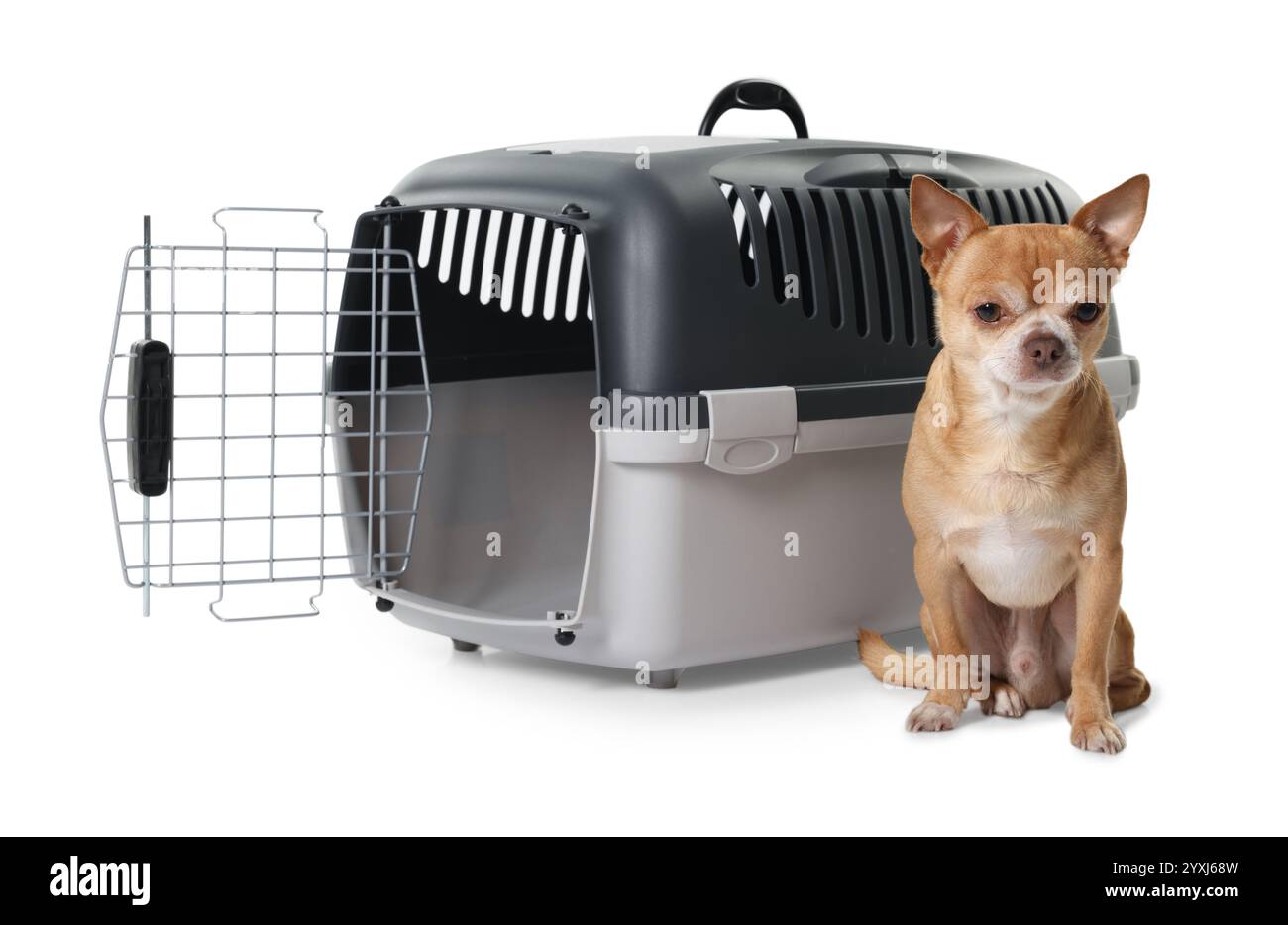 Adorable chien près d'un transporteur d'animal isolé sur blanc Banque D'Images