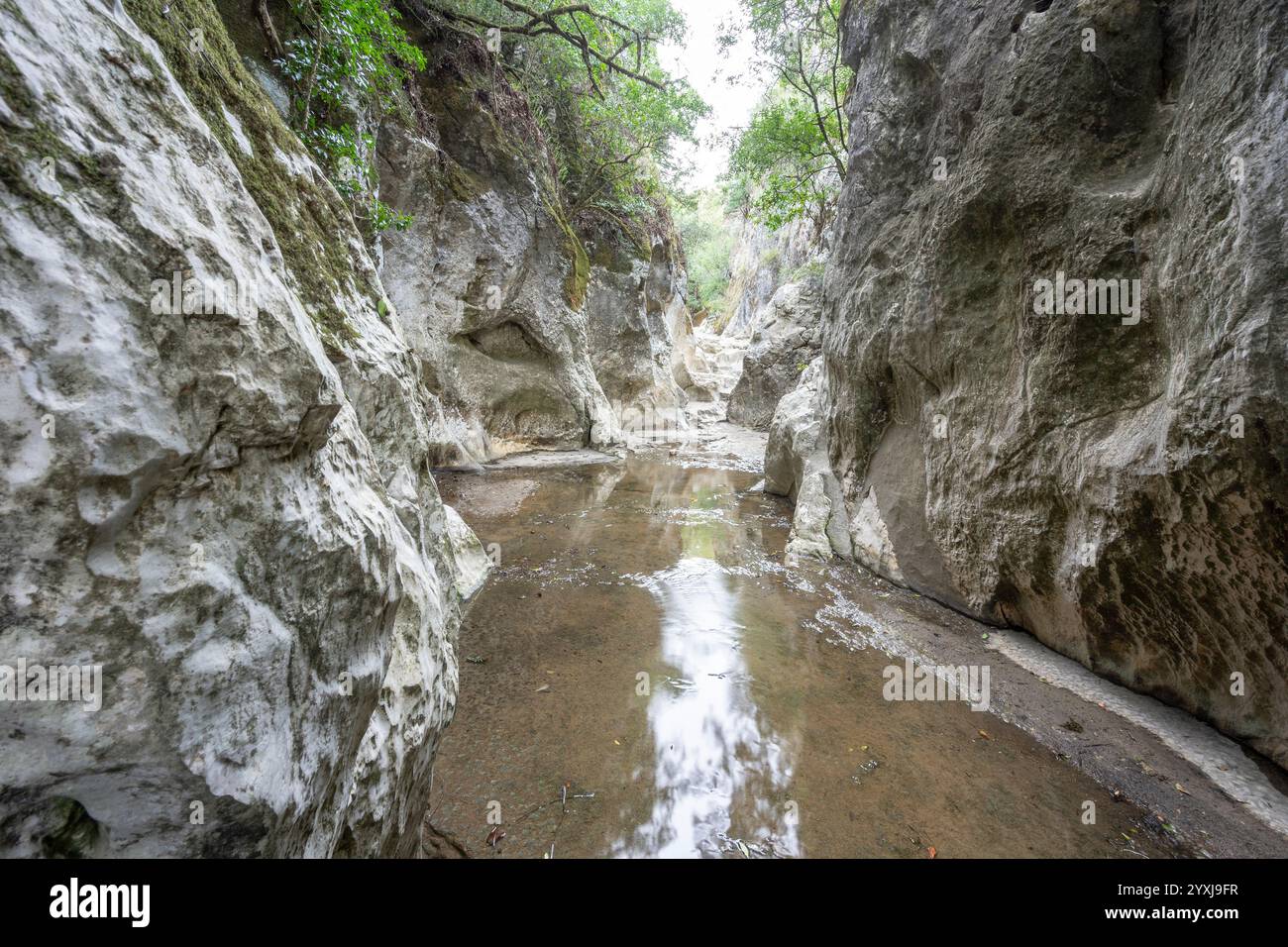 Formations rocheuses caverneuses en forme de gorge appartenant à la source de la rivière Alviela Banque D'Images