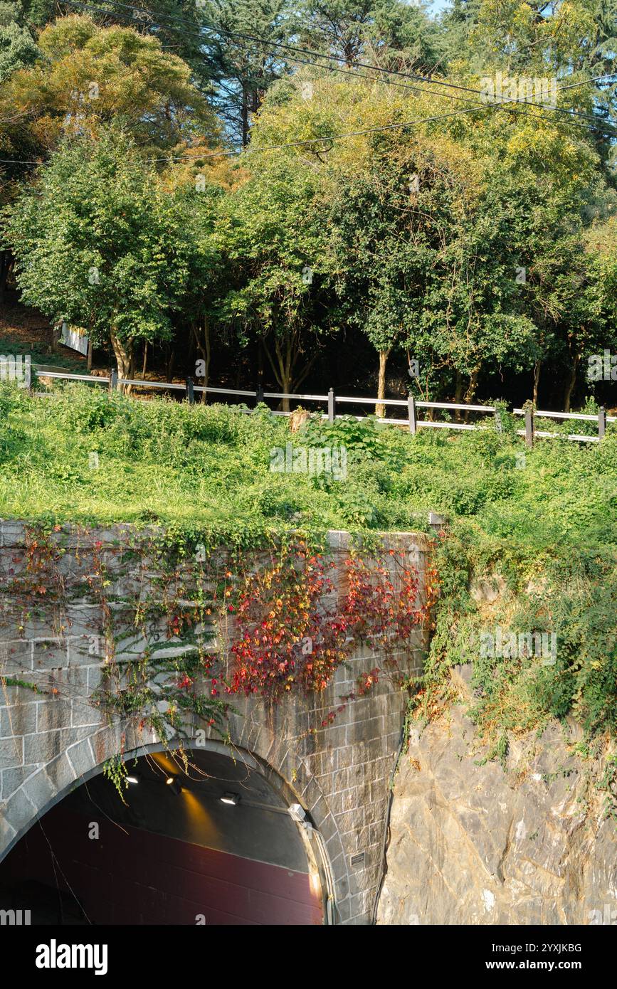 Wolmyeong Park et Haemanggul tunnel à Gunsan, Corée Banque D'Images