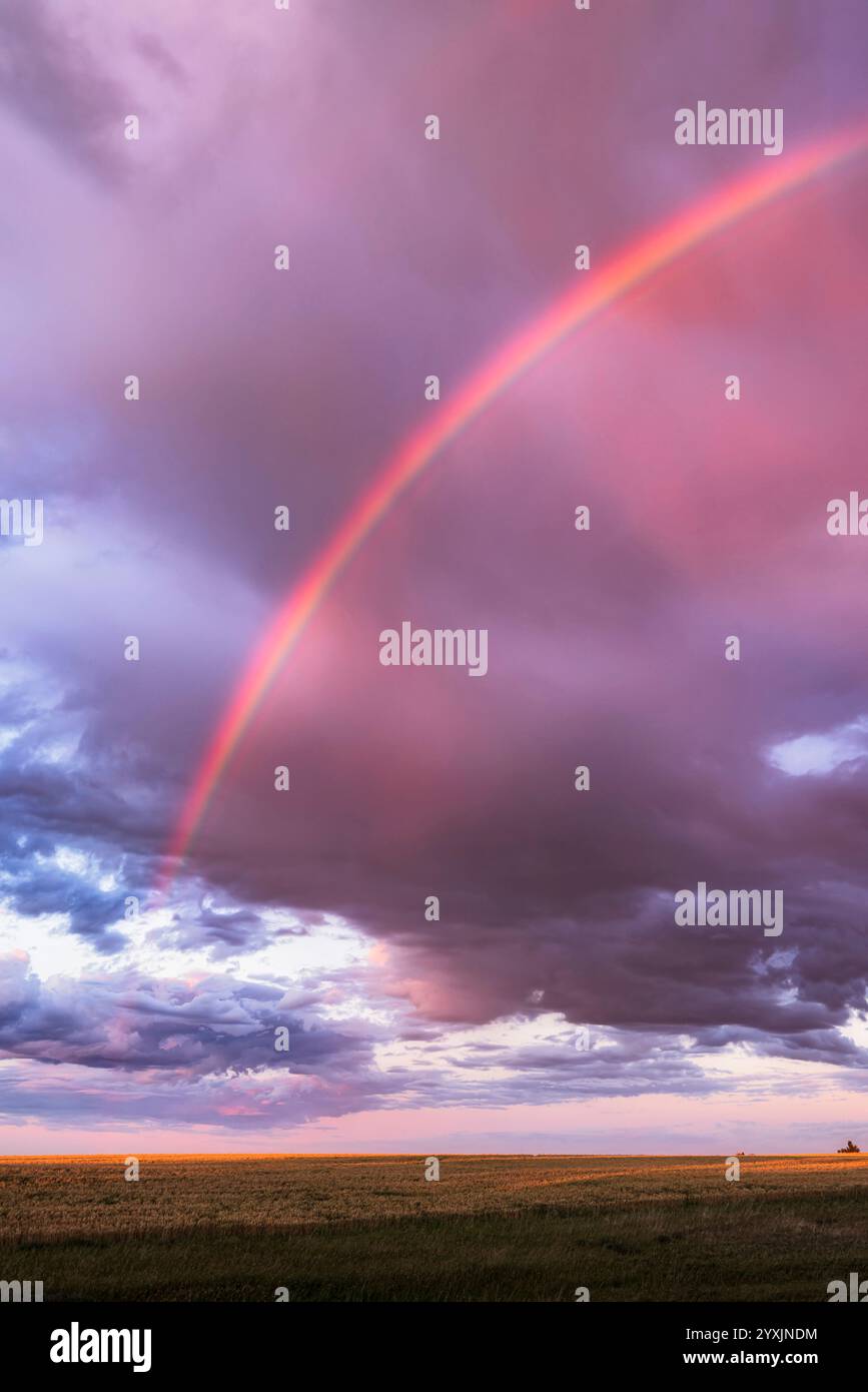 Un arc d'arc-en-ciel presque semi-circulaire au coucher du soleil avec ciel nuageux, Alberta, Canada. Banque D'Images