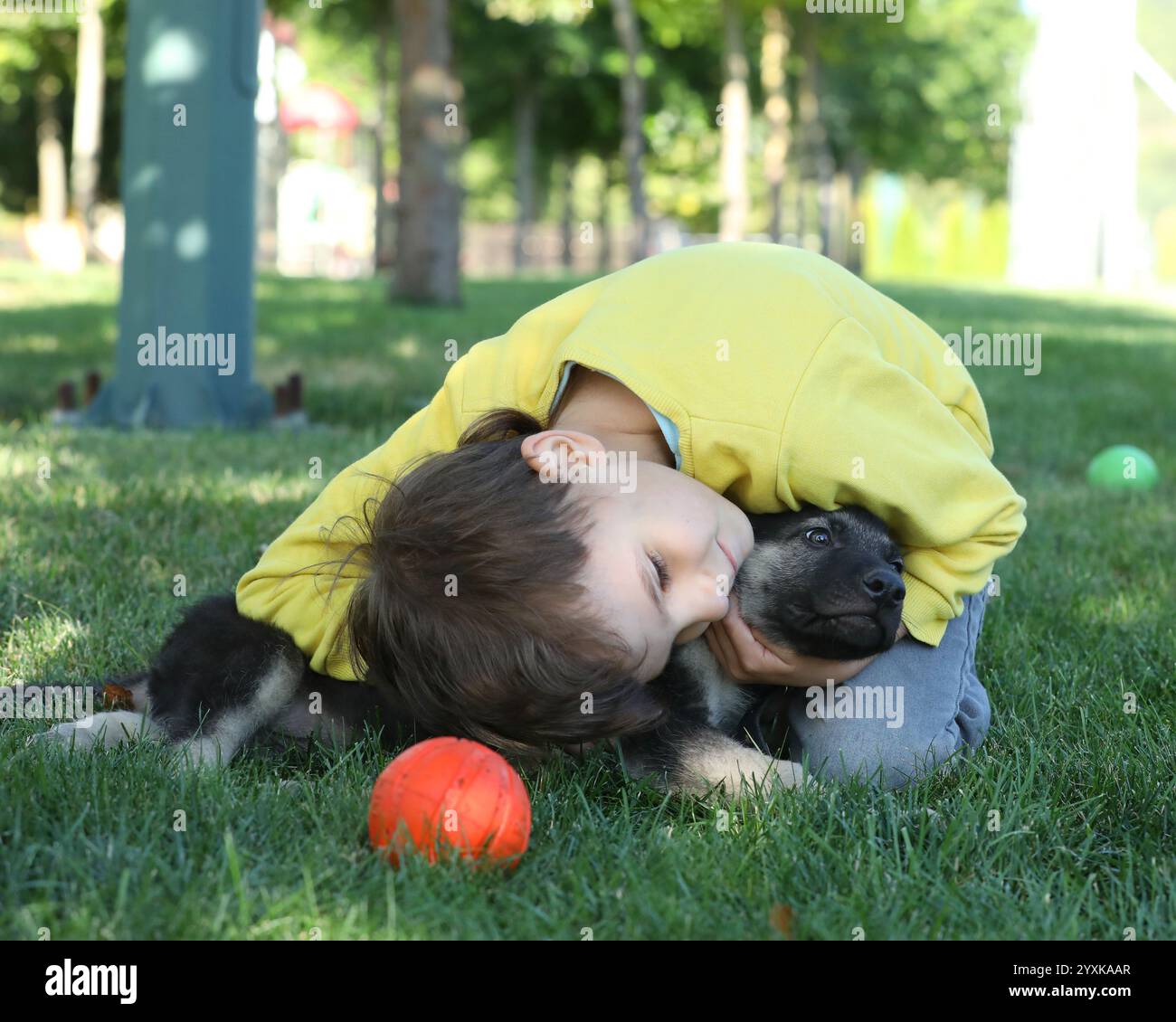 Garçon mignon jouant avec des chiots bergers sur l'herbe dans le parc d'été Banque D'Images