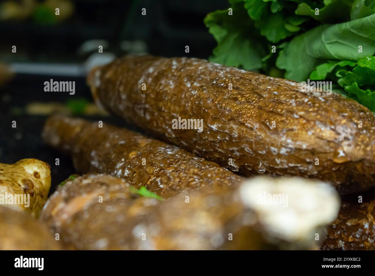 Une vue rapprochée d'un peu de manioc, à l'épicerie. Banque D'Images