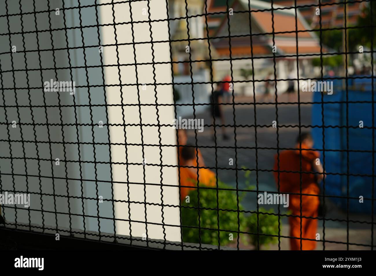 Bangkok, Thaïlande - 29 novembre 2024 : situation au temple Wat pho, fond d'écran esthétique Banque D'Images