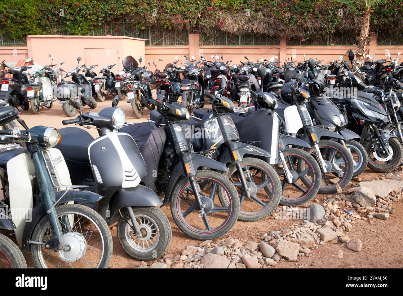 rangées de scooters cyclomoteurs et motos garés marrakech, maroc Banque D'Images